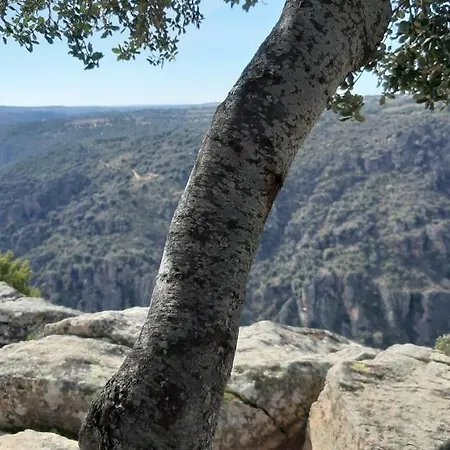 La Casa Del Regidor Rural Kır Evi
