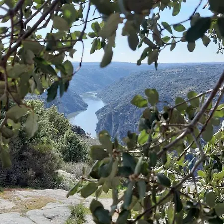 Landhuis La Casa Del Regidor Fermoselle